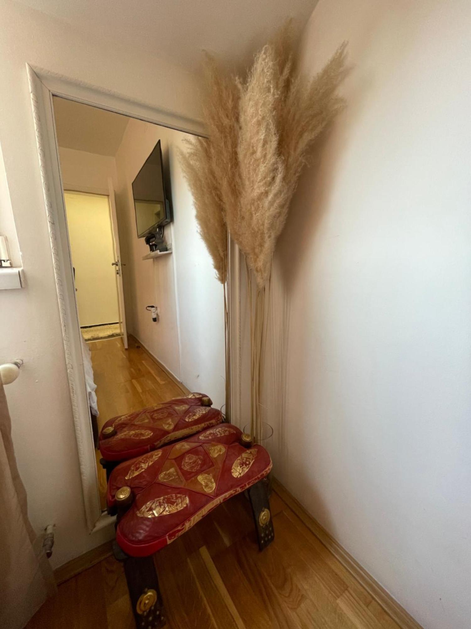 Charme Apartman Kruševac エクステリア 写真